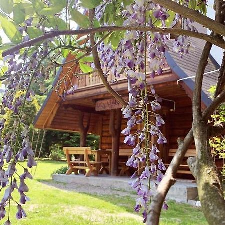 U Leona Villa Gorlice Exterior foto
