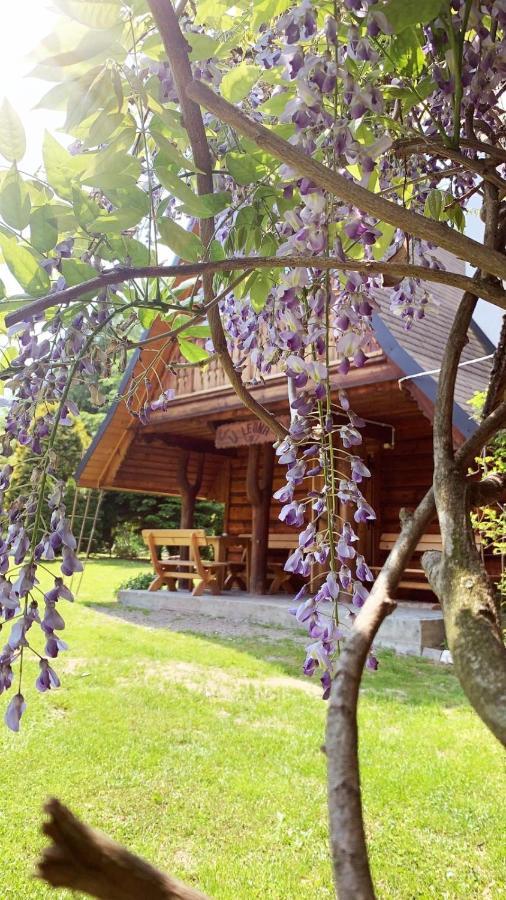 U Leona Villa Gorlice Exterior foto